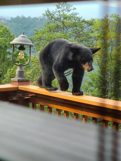 Villa Yogi'S Den: Breathtaking Views! 3 Min To Dollywood, On 1 Acre! Sevierville Esterno foto